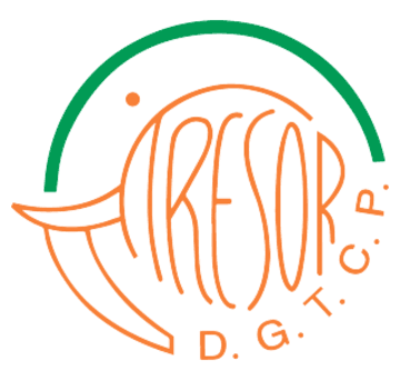 Treasury · DGTCP